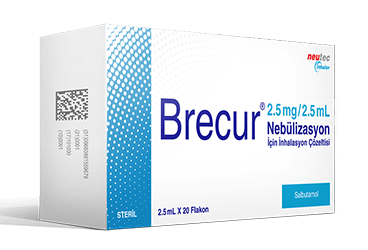 BRECUR 2,5 MG 2,5 ML NEBULIZASYON ICIN INHALASYON COZELTISI (20 флакон )