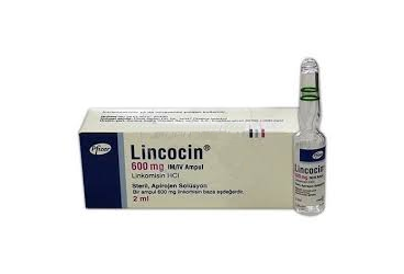 LINCOCIN 600 MG/2 ML IM/IV раствор для инъекций (1 ампулы)