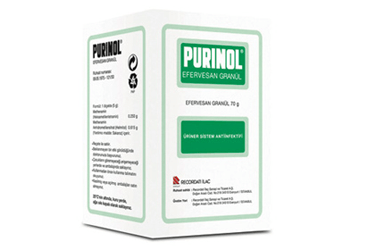 PURINOL 250 MG+ 615 MG/5 G EFERVESAN гранулы (70 G SISE)