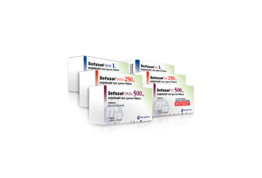 SEFAZOL 250 MG IM порошок для инъекций ICEREN флакон (1 флакон,1 ампулы)