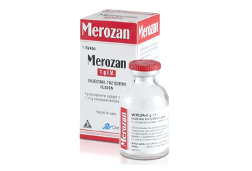 MEROZAN 1 GR ENJEKTABL порошок ICEREN флакон (10 флакон)
