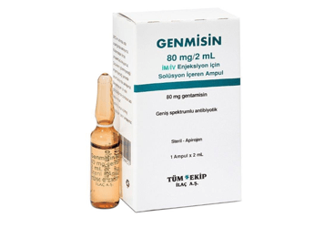 GENMISIN 80 MG 1 ампулы